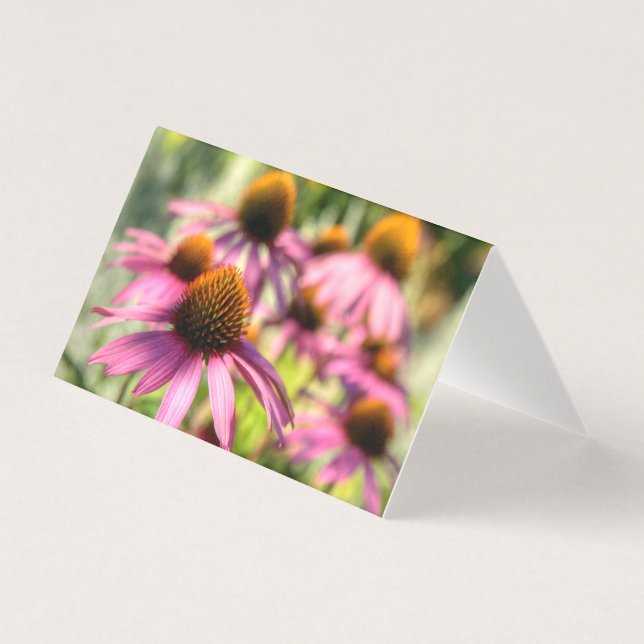 Tarjeta Escena floral de Echinacea (Anverso)