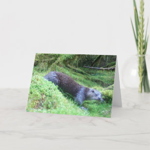 Tarjeta Escena Natural de Vida Silvestre en la Ribera de l