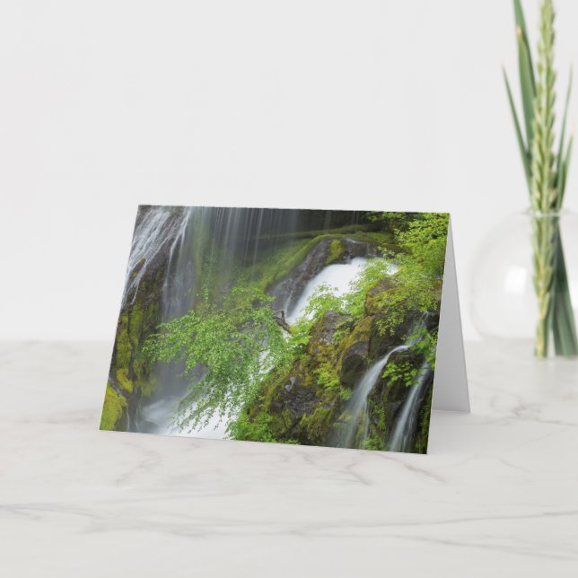 Tarjeta Escenario de cascada verde (Anverso)