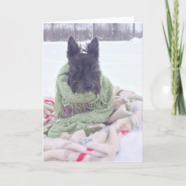 Tarjeta Escocés de la nieve