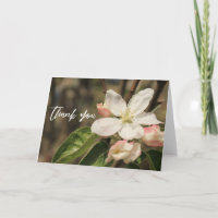 Escritura a mano informal Gracias Flores Apple