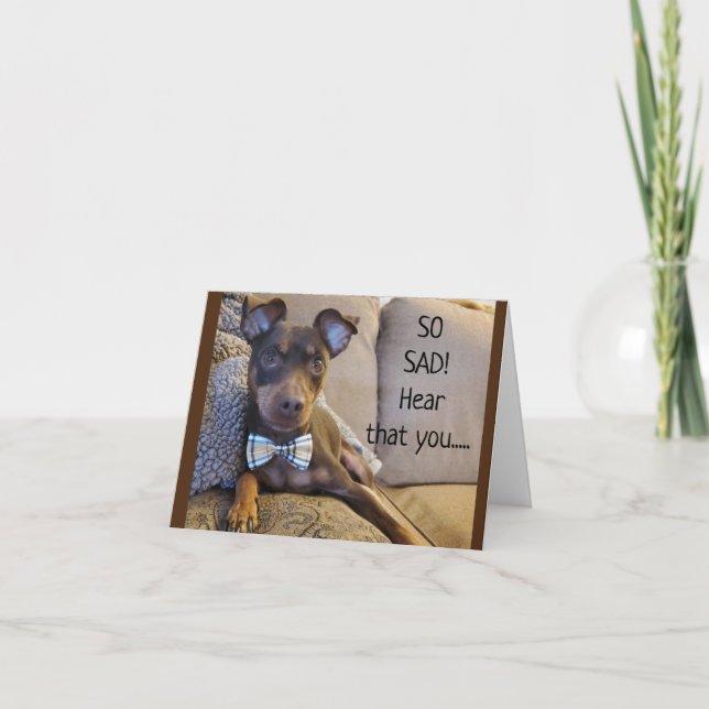 TARJETA ESCUCHÉ QUE NO TE SIENTES BIEN :( (Anverso)