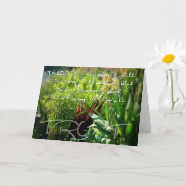 Tarjeta Escudo (Planta pequeña)