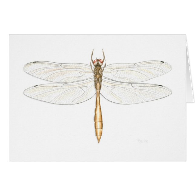 Tarjeta esmeralda cobriza de la libélula (Anverso (Horizontal))