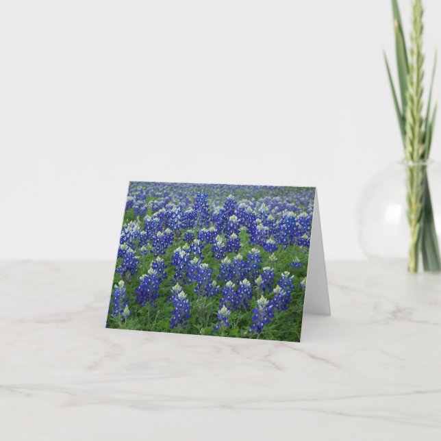Tarjeta Espacio en blanco de la foto de los Bluebonnets de (Anverso)