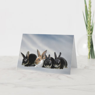 Tarjeta Espacio en blanco del ~ de los bebés de Indiana