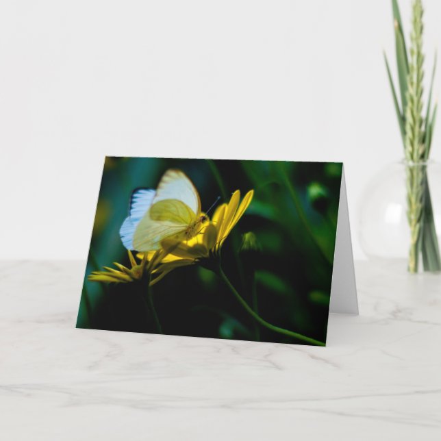 Tarjeta Espacio en blanco hermoso Notecard de la mariposa (Anverso)