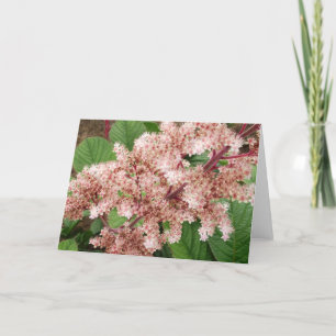 Tarjeta Espacio en blanco Notecard de la flor de Rogersia