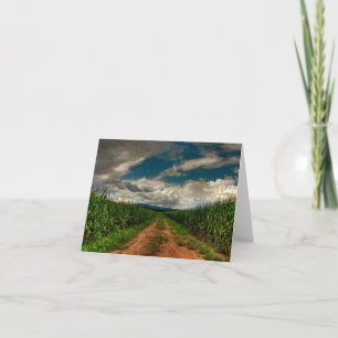 Tarjeta Espacio en blanco Notecard del campo de maíz del
