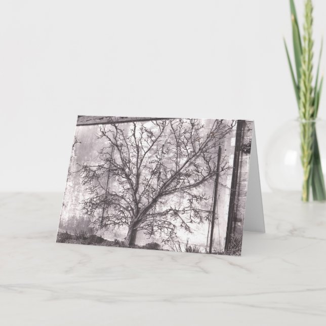 Tarjeta Espalier (Anverso)