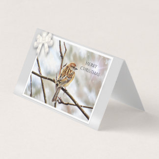 Tarjeta Esparadrapo en una rama - Feliz Navidad