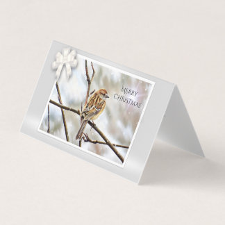 Tarjeta Esparadrapo en una rama - Feliz Navidad