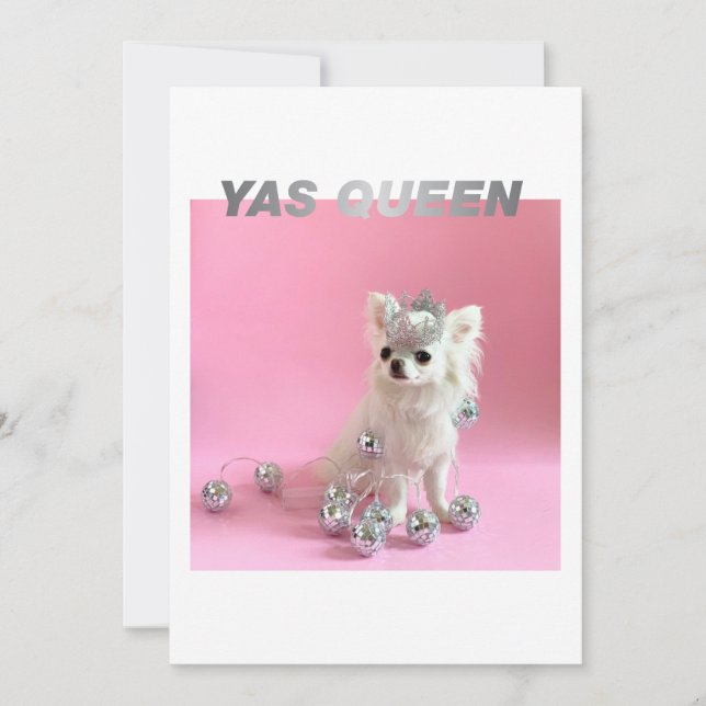 Tarjeta Esparcen El Pequeño Chi | Foto de Perro Lover Cong (Anverso)