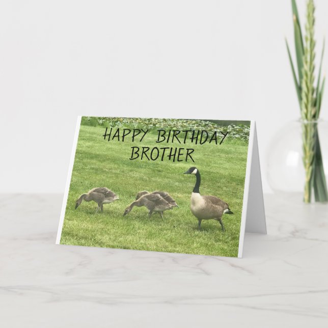 TARJETA ESPERA QUE TU CUMPLEAÑOS SÓLO SEA HERMANO "PATO" (Anverso)
