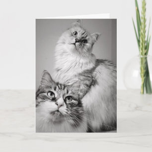 Tarjeta Esperando pacientemente por el pastel (cumpleaños 