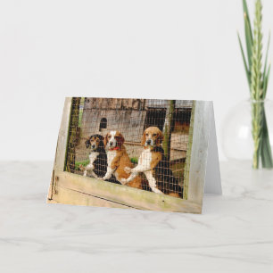 Tarjeta "Esperando para funcionar con" el beagle Notecard