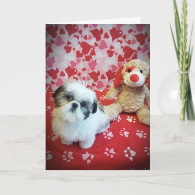 TARJETA **ESPERANZA DE QUE SÍ A MI PREGUNTA** VALENTINA (Anverso)