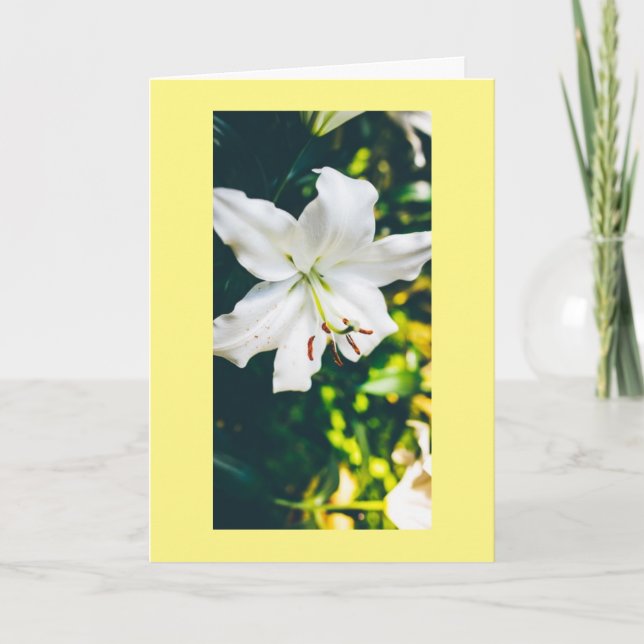 TARJETA ESPERANZA Y MÁS DESEADO PARA USTED EN EL MOMENTO M (Anverso)