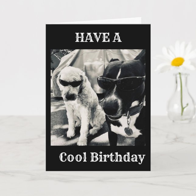 TARJETA ESPERO QUE TU CUMPLEAÑOS SEA EL "MÁS FRÍO" QUE HAY (Planta pequeña)