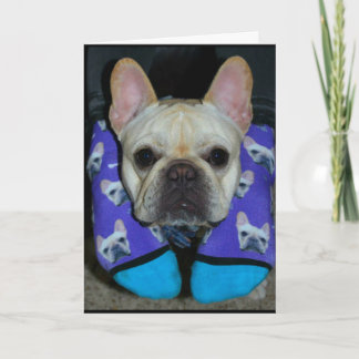 Tarjeta ¡Espero Que Tu Cumpleaños Sea Feliz Para El Perro!