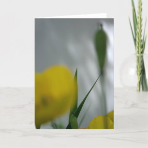 Tarjeta Espías y sombra 4 Fotomía Floral Saludo C