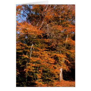 Tarjeta espiritual de otoño