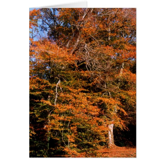 Tarjeta espiritual de otoño (Frente)