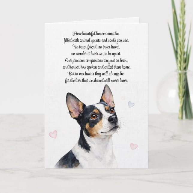 Tarjeta Espiritual de Simpatía por Perro Ratonero  (Anverso)