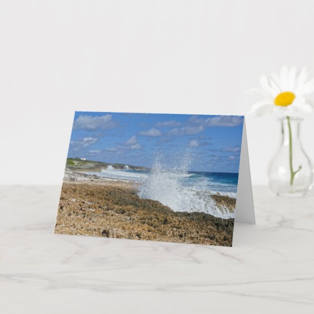 Tarjeta Esplash de Bahamas, gran isla de Abaco, Bahamas" (Planta pequeña)