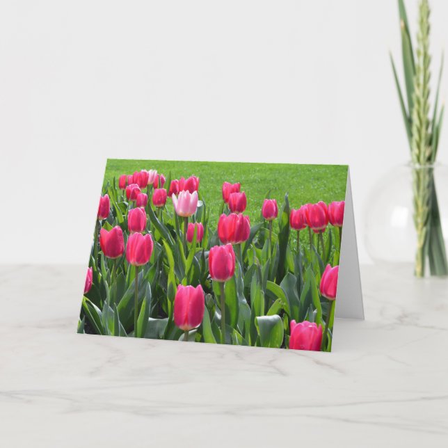 Tarjeta espléndidas flores de tulipán rosa primavera feliz (Anverso)
