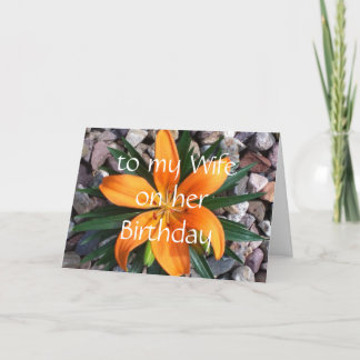 Tarjeta esposa de cumpleaños feliz