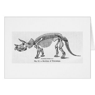 Tarjeta esquelética del arte del Triceratops