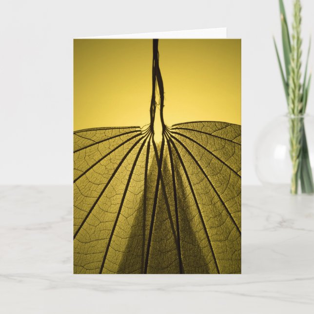 Tarjeta Esqueleto de la hoja (Anverso)