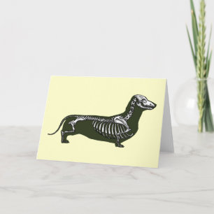 Tarjeta esqueleto del dachshund