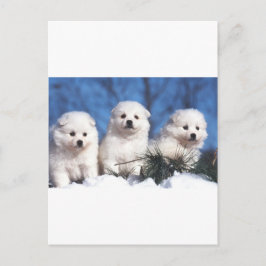 Tarjeta esquimal americana del perrito
