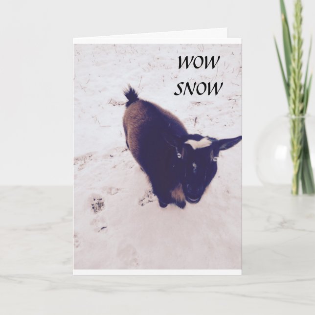 TARJETA ESTA CABRA ES UN SECUESTRO EN TU CUMPLEAÑOS (Anverso)