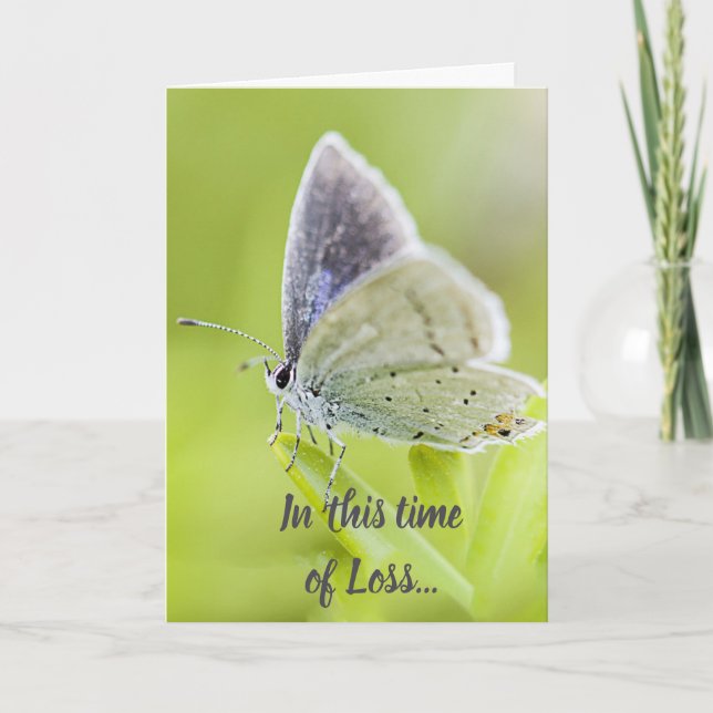 Tarjeta Esta era de las escrituras de la pérdida: mariposa (Anverso)