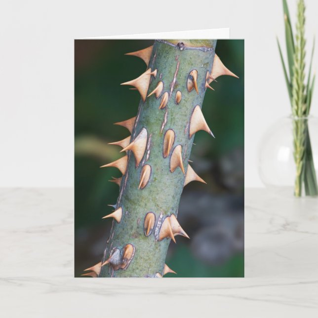 Tarjeta ¿Está usted listo? (Anverso)