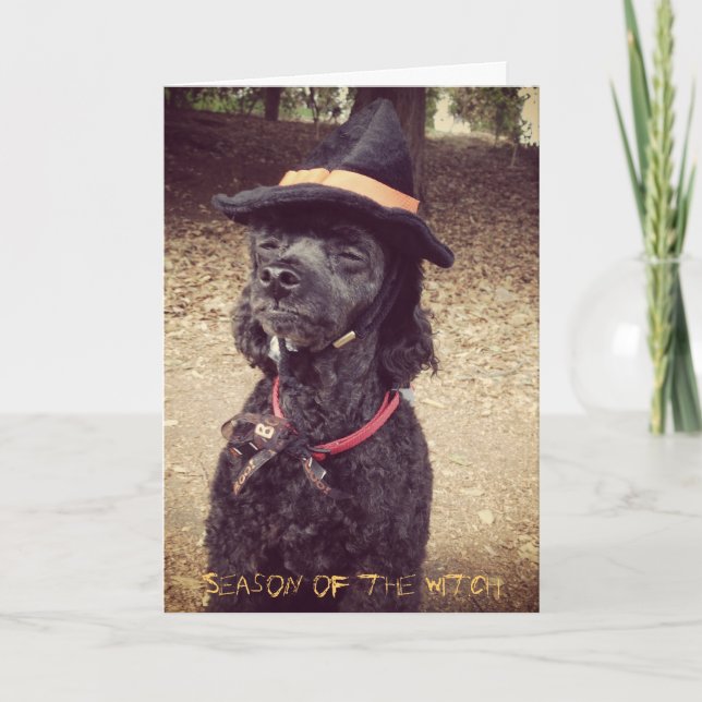 Tarjeta Estación de la bruja (Anverso)