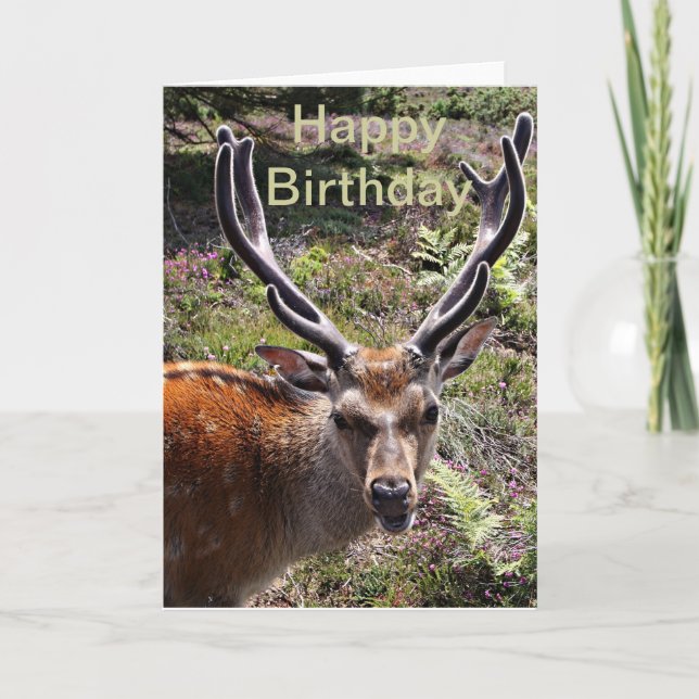 Tarjeta Estacionamiento de cumpleaños (Anverso)