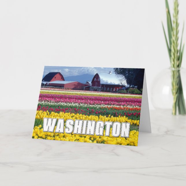 Tarjeta Estado de Washington | Campo de Tulipanes | Feliz  (Anverso)
