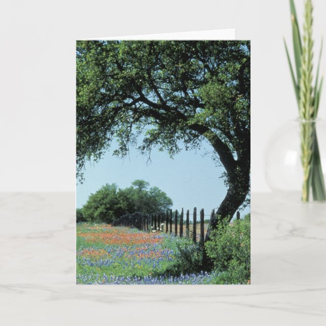 Tarjeta Estados Unidos, Texas, Texas Hill Country Paintcel (Anverso)
