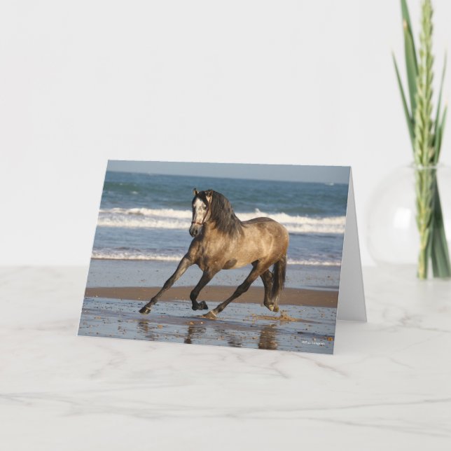 Tarjeta Estallido andaluz de manzana gris en la playa (Anverso)