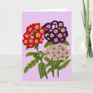 Tarjeta estampado de flores de verbena