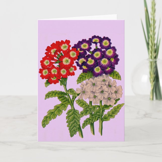Tarjeta estampado de flores de verbena (Anverso)