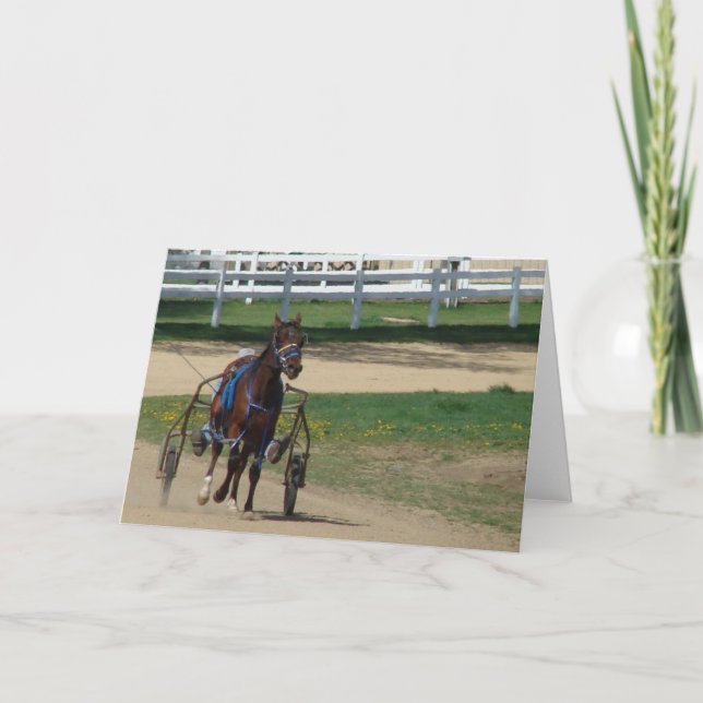 Tarjeta Estándar (Anverso)