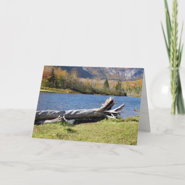 Tarjeta Estanque de Willey, río Saco, Conway Norte, NH (Anverso)