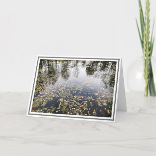 Tarjeta Estanque fotográfico con hojas y reflexiones sobre