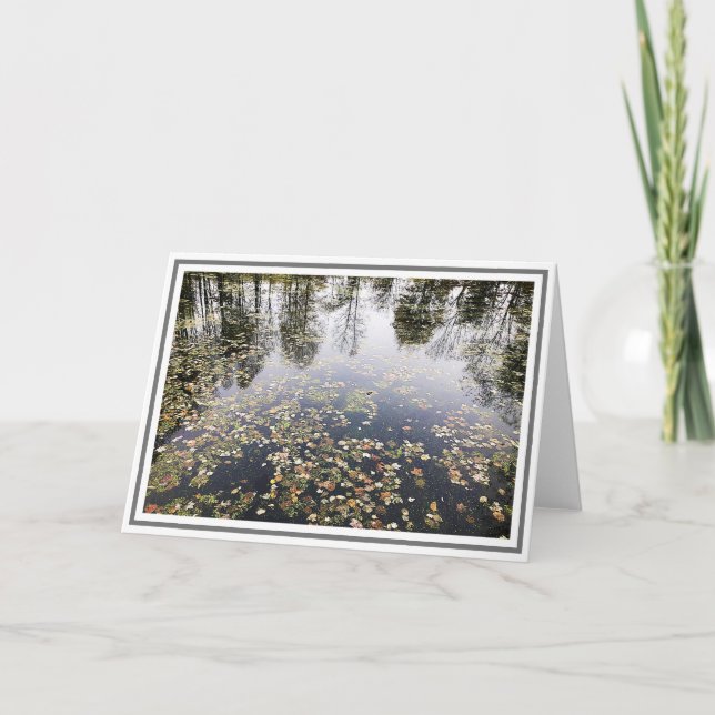 Tarjeta Estanque fotográfico con hojas y reflexiones sobre (Anverso)