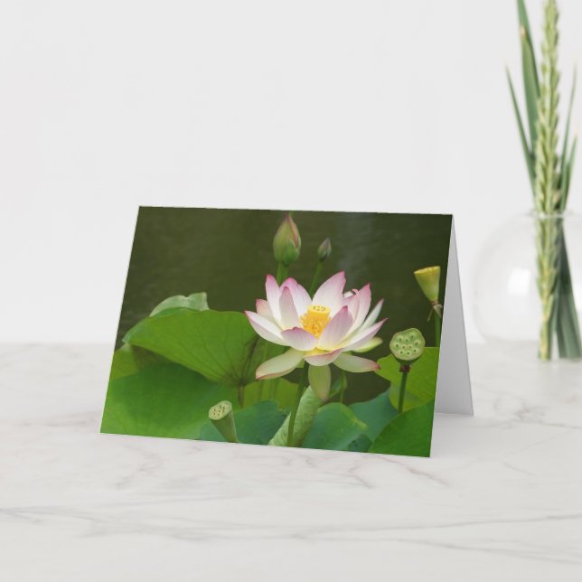 Tarjeta Estanques de flores de Lotus (Anverso)